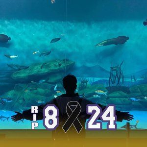 Meet your Posher, Kevin